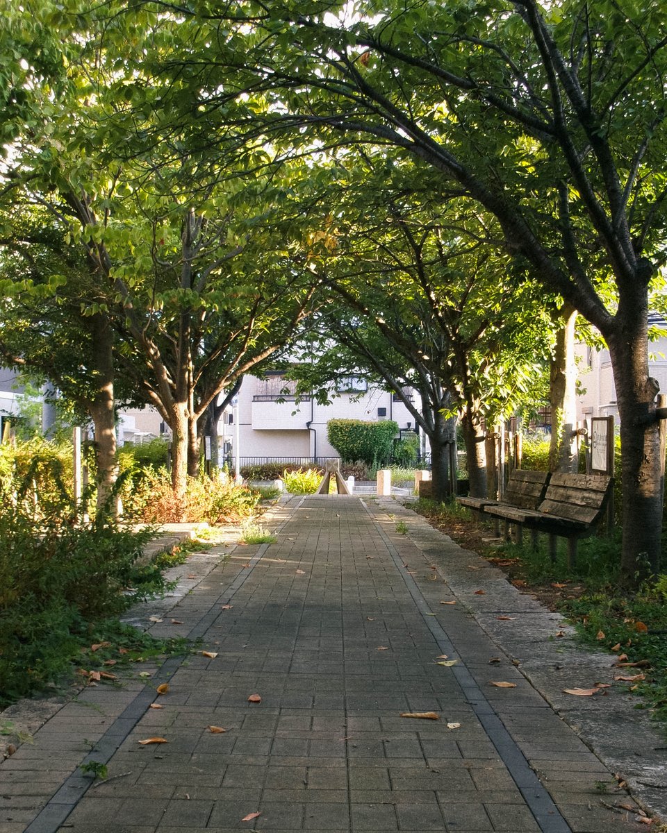 nagi_quiet's tweet image. 街中に突然、車止め線路？
#kodakpixpro #fz55