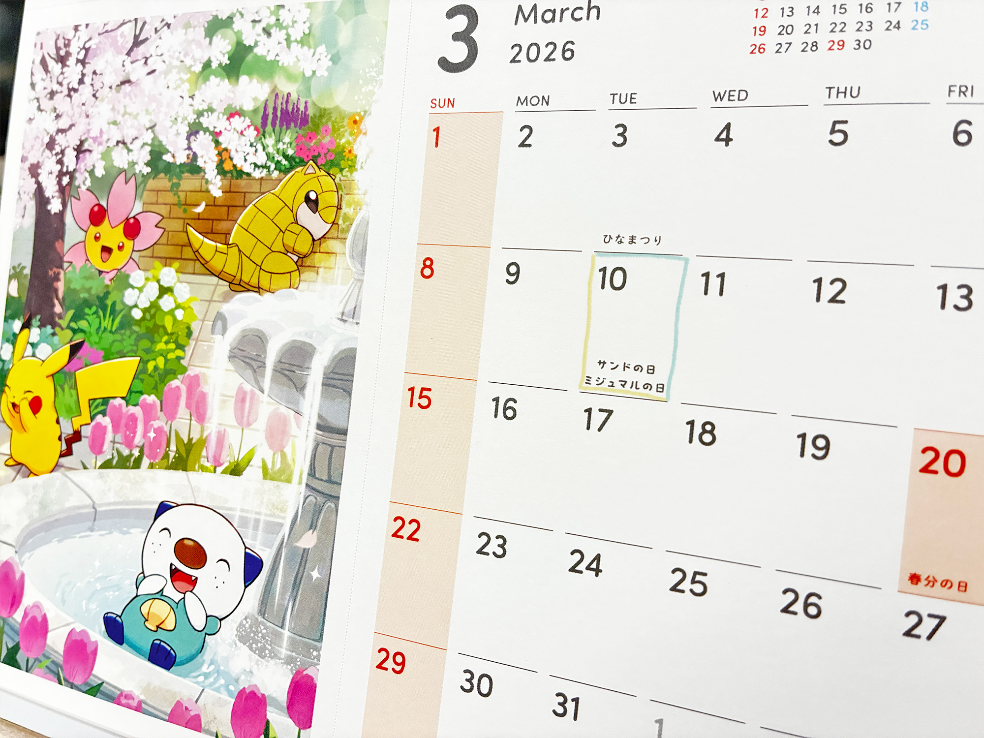 ポケモンだいすきクラブ編集部【公式】 on X: 