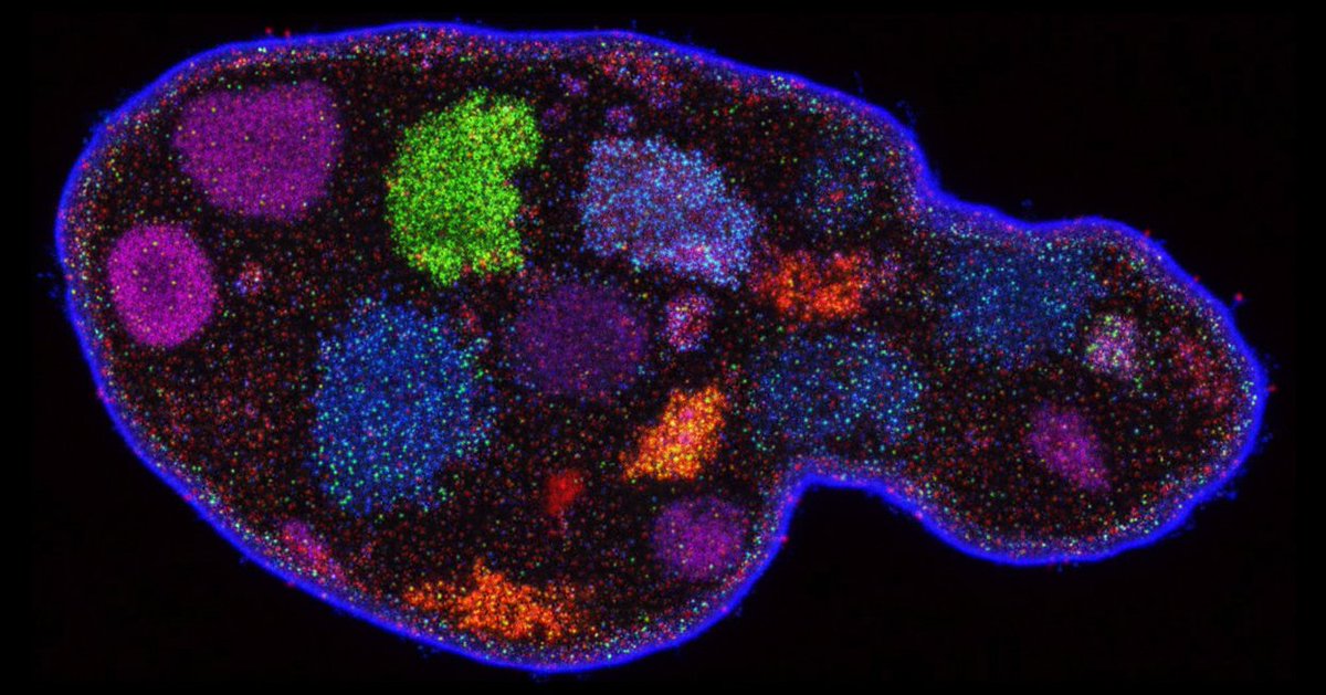We may have been making a lot of progress in genome design, but we are not done with protein design just yet lol