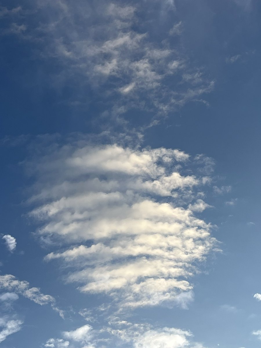 우리집 와이파이야 
빨라 잘터져!