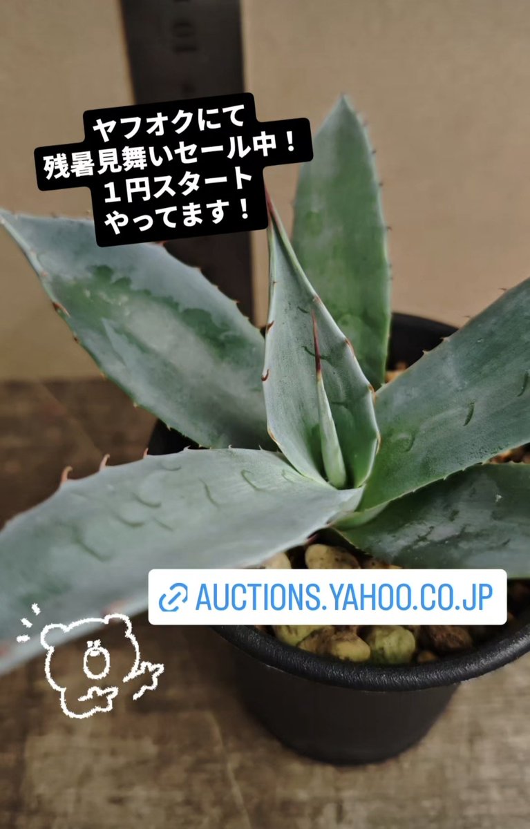 auctions.yahoo.co.jp/seller/analog6…