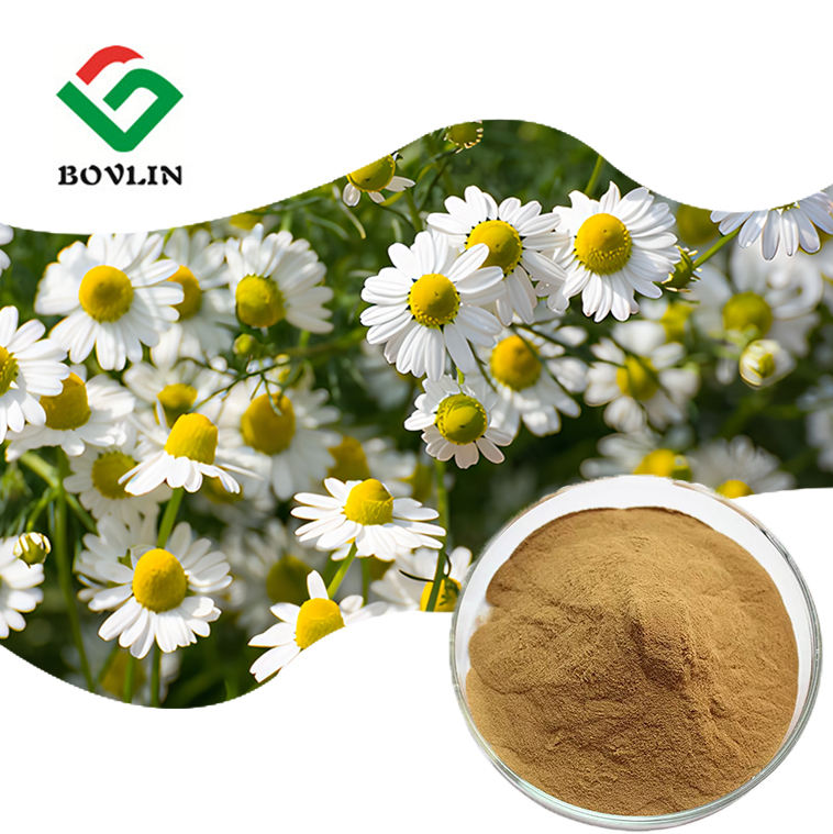 bovlin_herb's tweet image. Harness the Calming Power of Nature with Premium Chamomile Extract! 🌼
✅ Soothing &amp;amp; Anti-Inflammator
✅ Antioxidant Rich
✅ Natural Relaxant
✅ Gentle Enough for All
#ChamomileExtract #BotanicalExtract #NaturalIngredients #Cosmetics #Skincare #AntiInflammatory #Soothing
