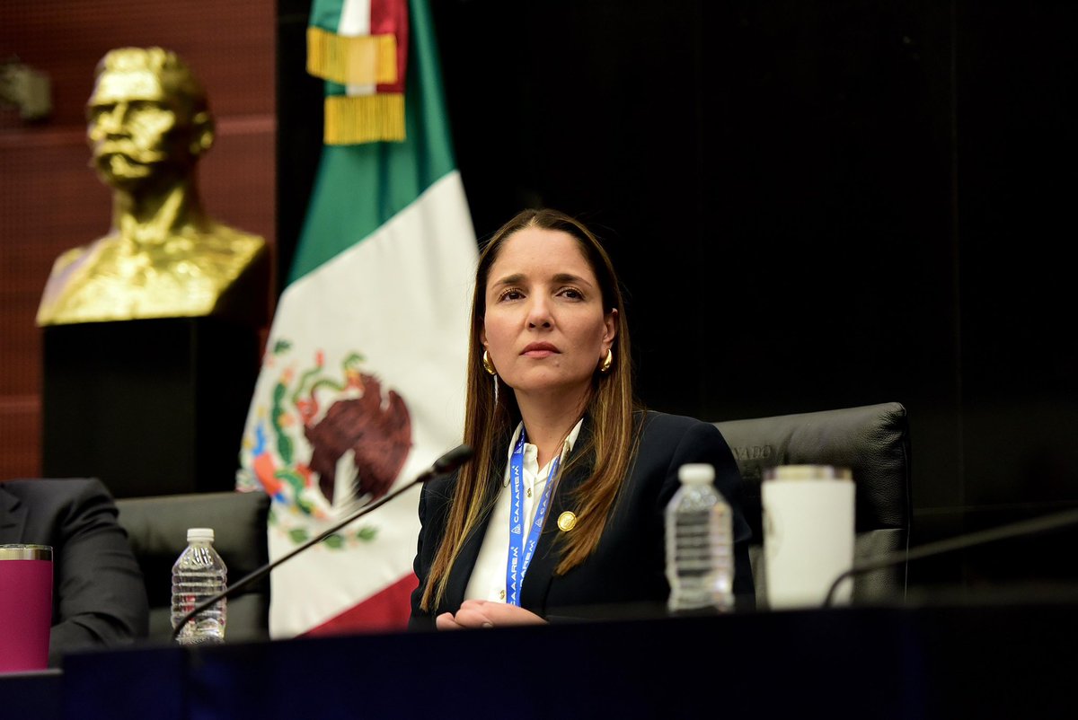 CAAAREM's tweet photo. En el marco de #LegislAA, se realizaron mesas de trabajo que reunieron a legisladores federales y Agentes Aduanales para dialogar sobre las oportunidades, desafíos y perspectivas frente a los cambios en el comercio mundial. 

🔹La Mesa dedicada a Aduanas Fronterizas, contó con la moderación de la Senadora Olga Sosa; el Secretario de CAAAREM A.A. Edgardo Pedraza; la A.A. Erika Pérez Grovas y el A.A. Esteban Ibarrola. 
🔹En la Mesa enfocada en Aduanas Marítimas, participaron como moderadores la Senadora Anahí González; el Contralmirante Cuauhtémoc  González; el Tesorero de CAAAREM A.A. Carlos Ramírez y el A.A. Roberto Rocha.

#HaciendoMásGrAAndeACAAAREM🇲🇽