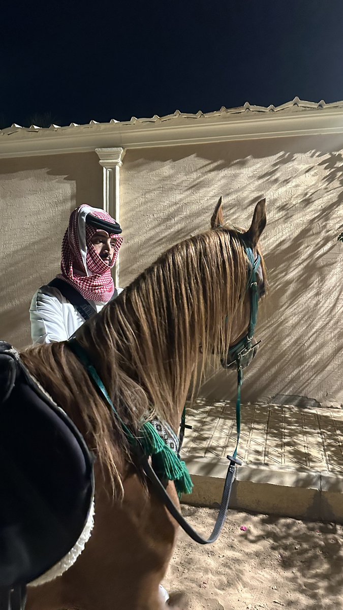 عبدالله بن جنيّح | Abdullah Bin Jenaih tweet media