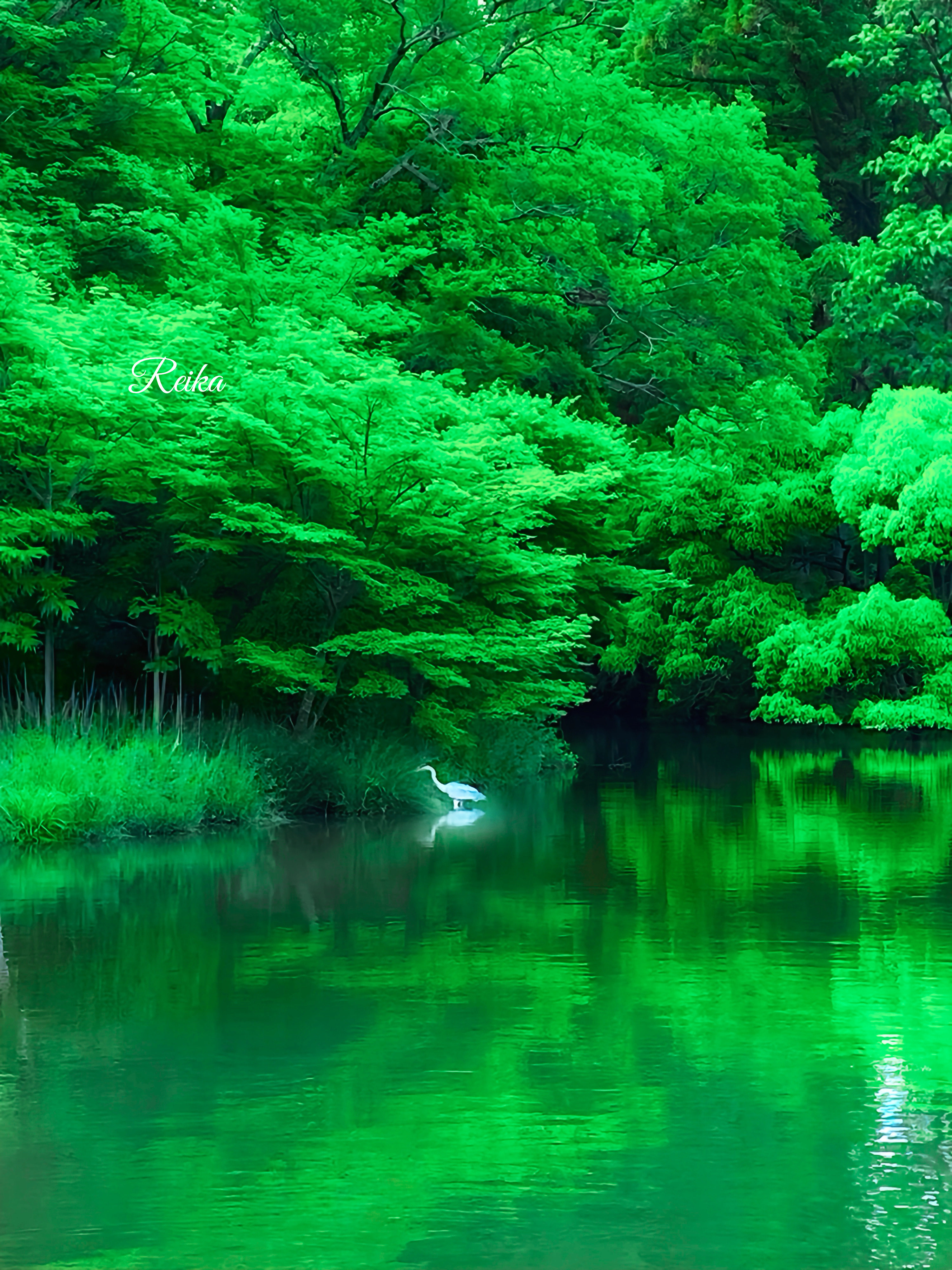 抽象的な自然風景写真 北海道はどこに行っても凄い 📷Nikon Z8 & Z14-24mm F2.8 S