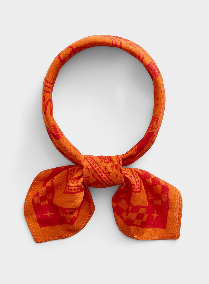 Leaguewear™ should be accessible to everyone, period. Peau de Loup and Simons are making it happen.

dontcallmebaby.club/playbook/peau-…