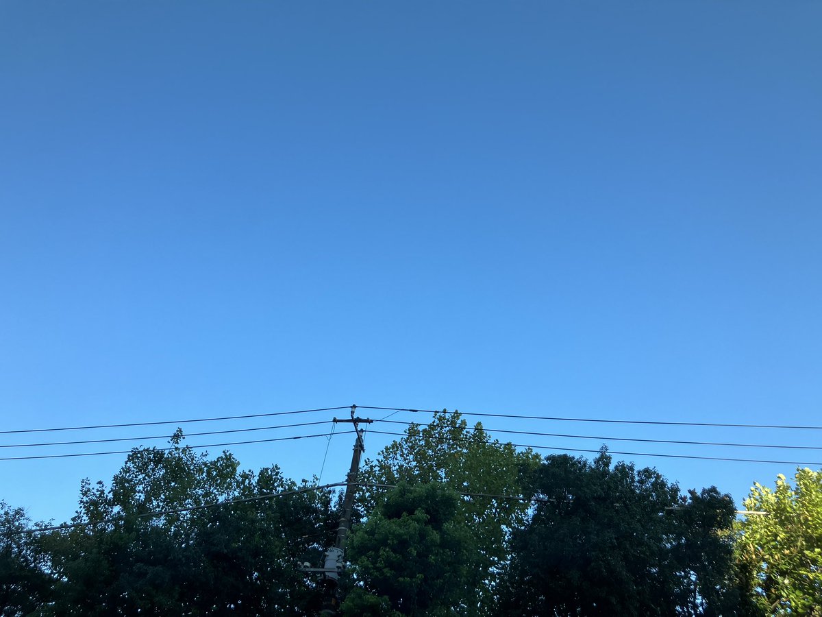 おはようございます☀️
スッキリ晴れた朝です。
涼しくて過ごしやすいです。
今日も頑張ろう💪( ¨̮ 💪)
 #イマソラ