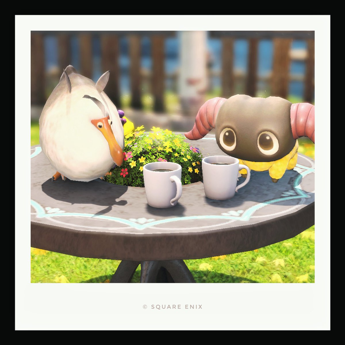 ☕🦤☕🐏
#おはドド