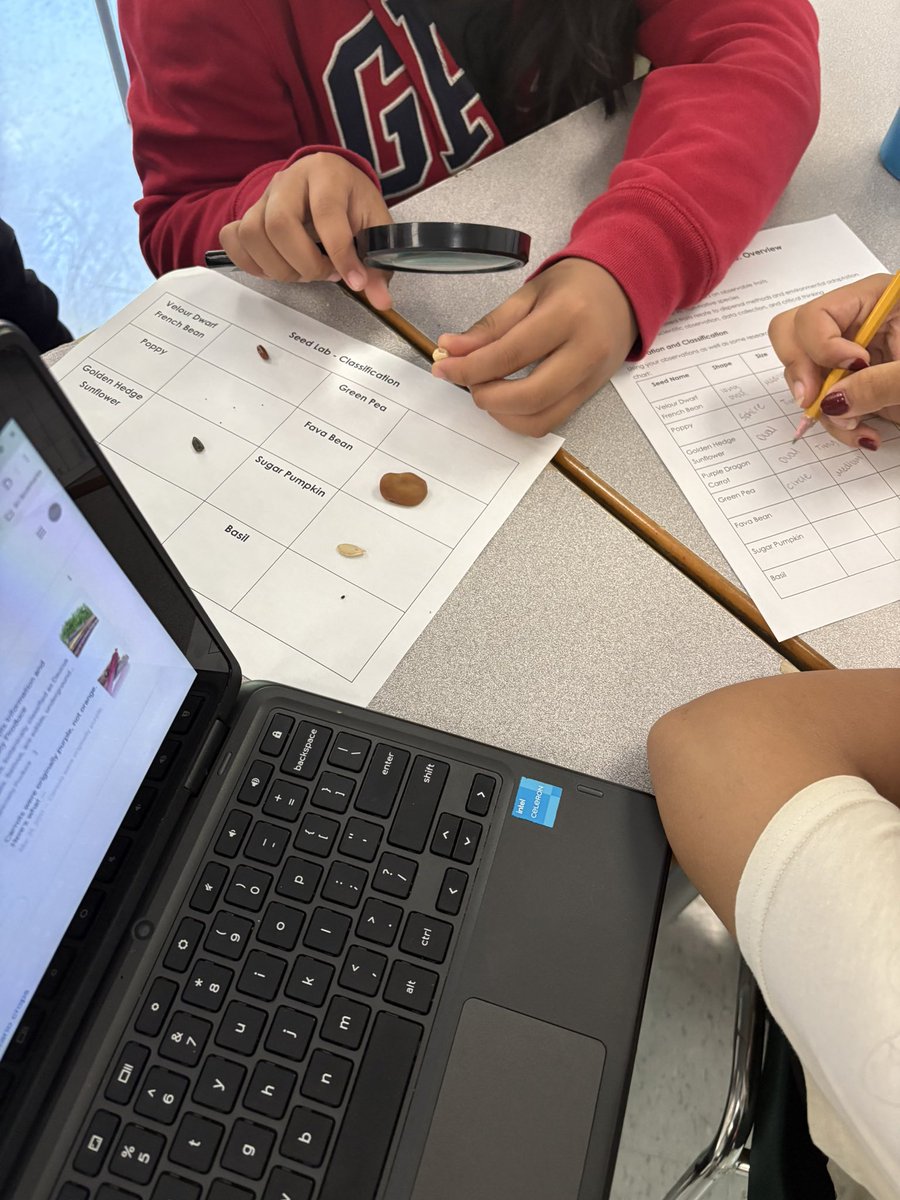 miss_dbelmonte's tweet image. Today we took a little bit of a different approach to science and completed a seed classification lab. We learned the importance of science labs and jobs that may use labs like this. Using criteria and science tools we classified seeds, connecting grade 6 and 7 units.