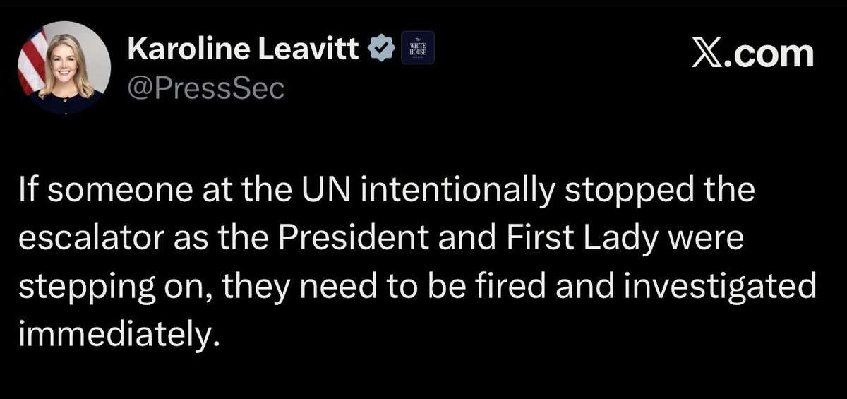 Karoline also wants to arrest:
- Whoever ate the yogurt WITH HER NAME ON IT
- Anyone who calls her Kayleigh
- The journalist who keeps using the word "cankles"
- The entire sorority which wait-listed her
- Every Black person she sees
