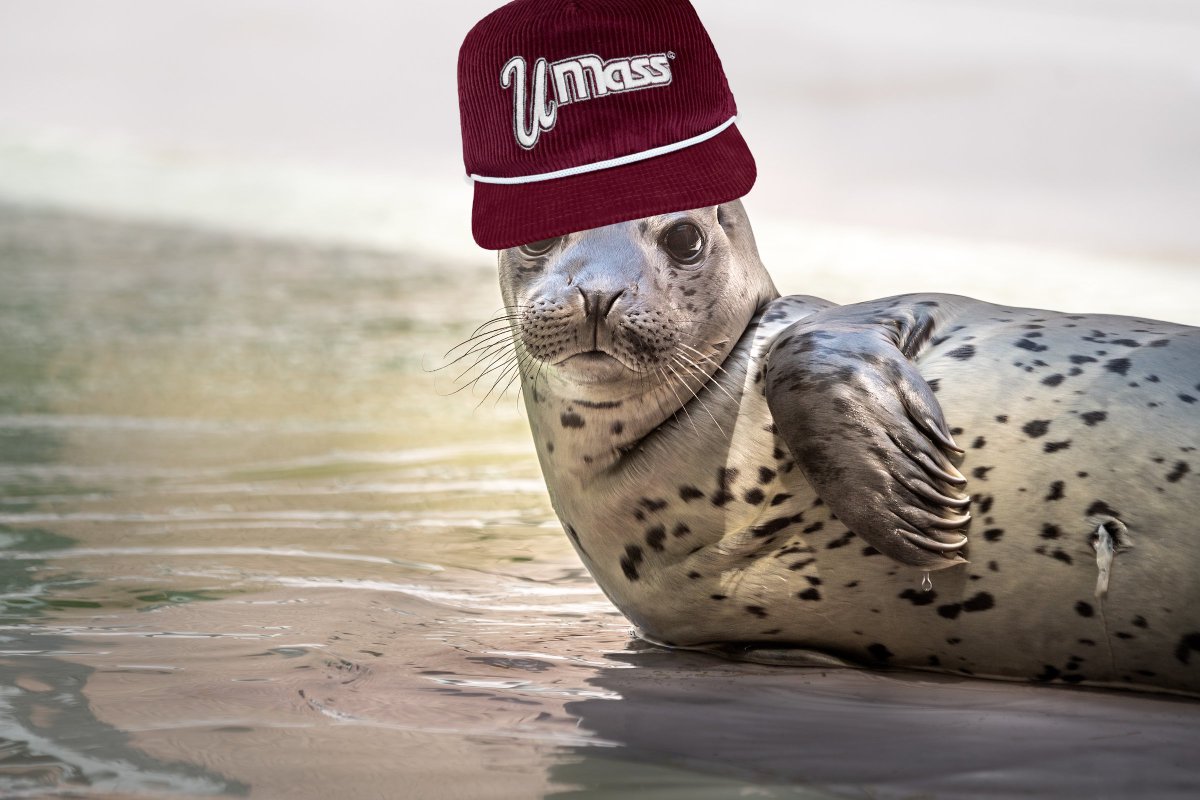 Jeff Hobbs tweet media