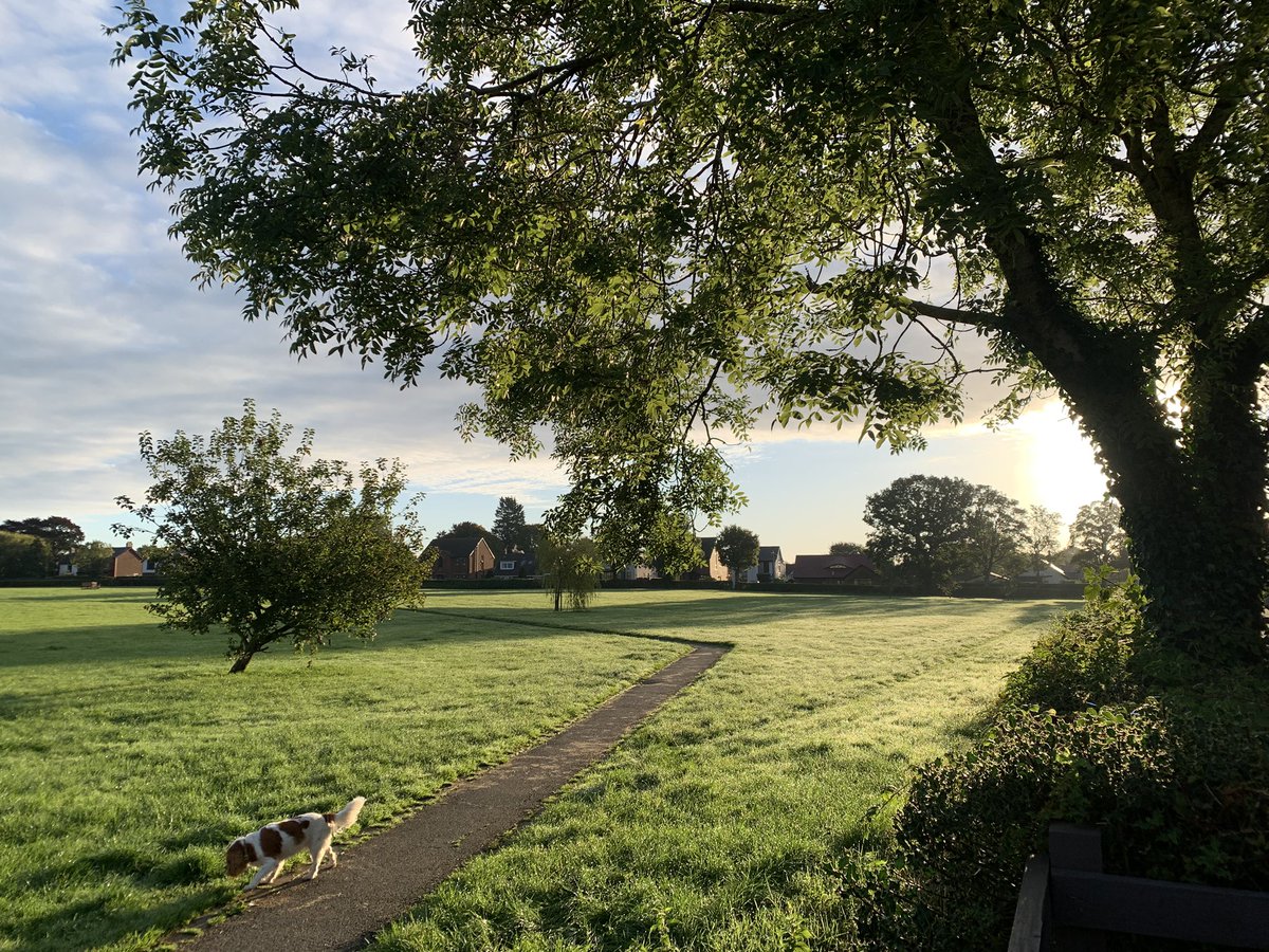 #hellomynameisAndy tweet media