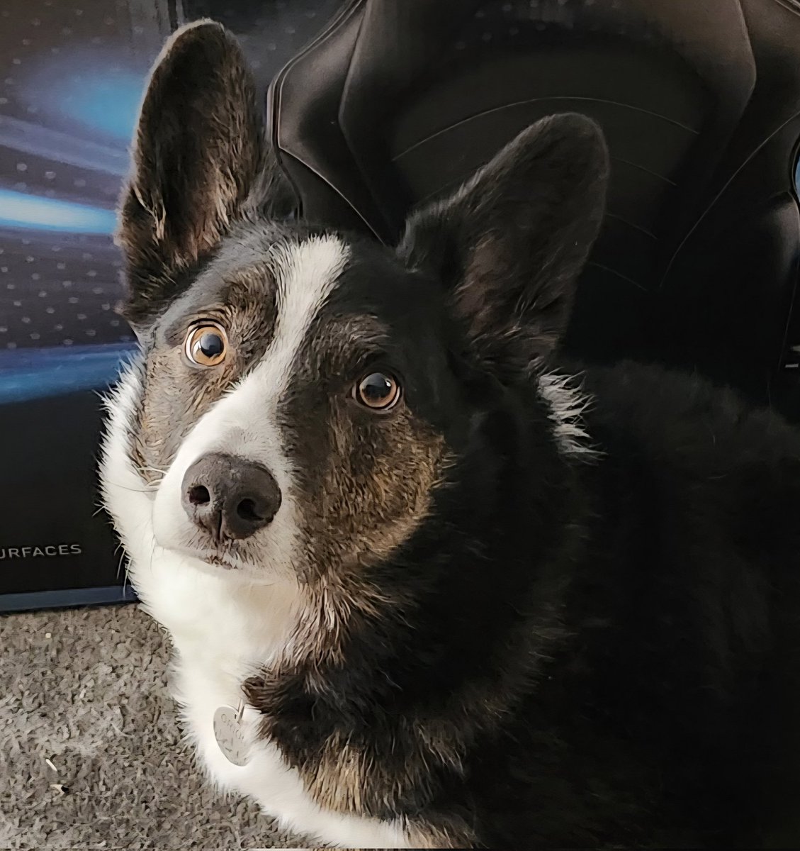 This photo of my son
👁  👁