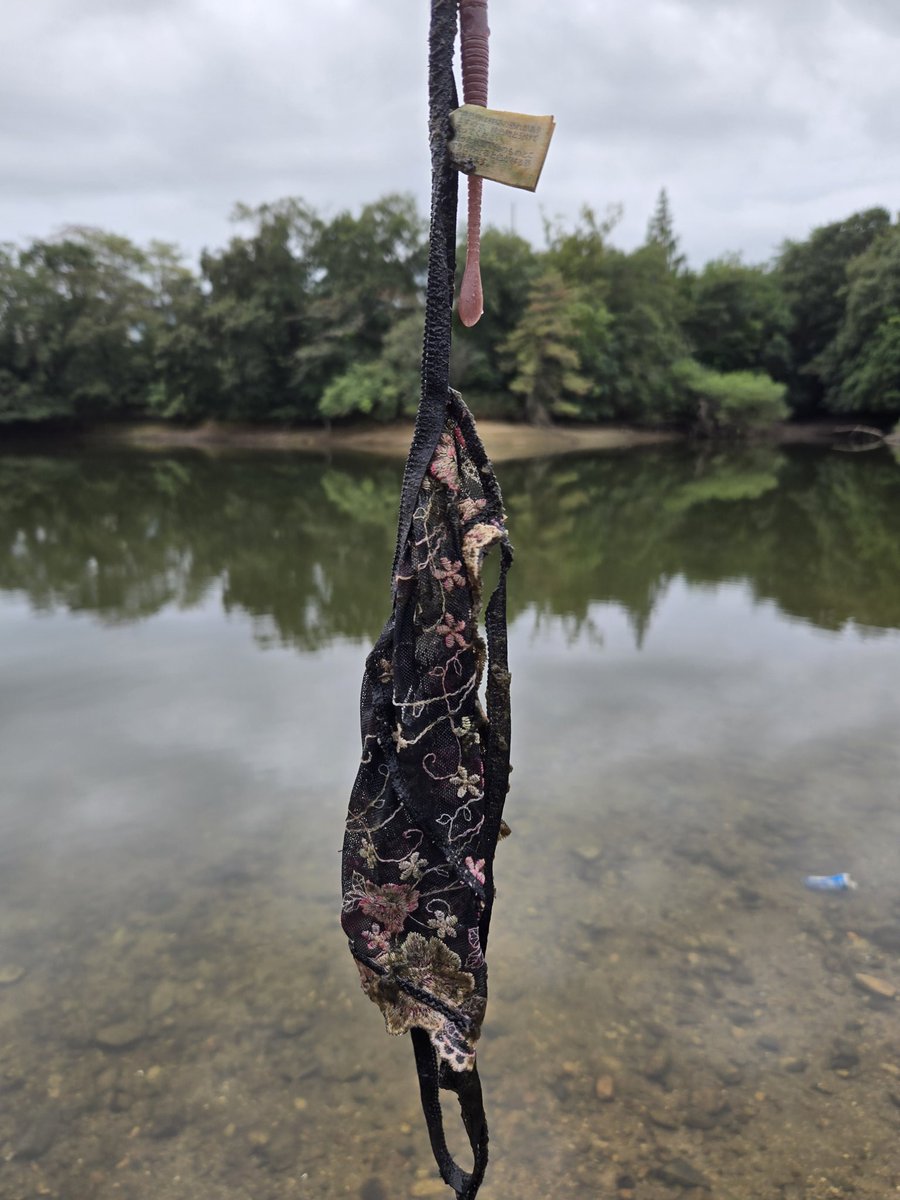 koyamori (@koyamori2) / Posts / X