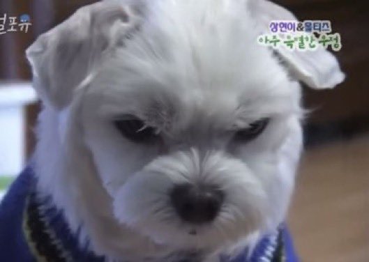 요즘 너무 바빠서 교류가 뜸해질 것 같아요 그래도 드문드문 오니까 버리시면 안돼요!!