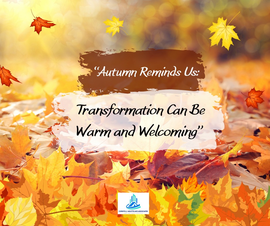CjmManagement's tweet image. 🍁 Change doesn’t have to be cold, it can be colorful, warm, and full of new beginnings. 🌟 This Autumn, embrace change with confidence and let every transition bring beauty and growth. 🏡✨

#FallMotivation #CJMPropertyManagement