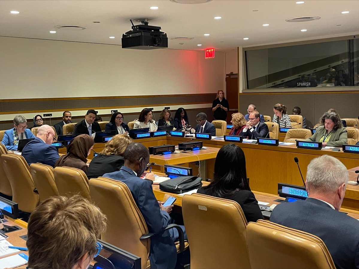 UNOSAPG's tweet image. “The Responsibility to Protect was never meant to be remembered - it was meant to be realized”, Special Adviser on Prevention of Genocide, Beyani &amp;amp; Special Adviser on RtoP, Bleeker emphasized today at the Ministerial Meeting on Responsibility to Protect, during #UNGA80.
#R2Pat20