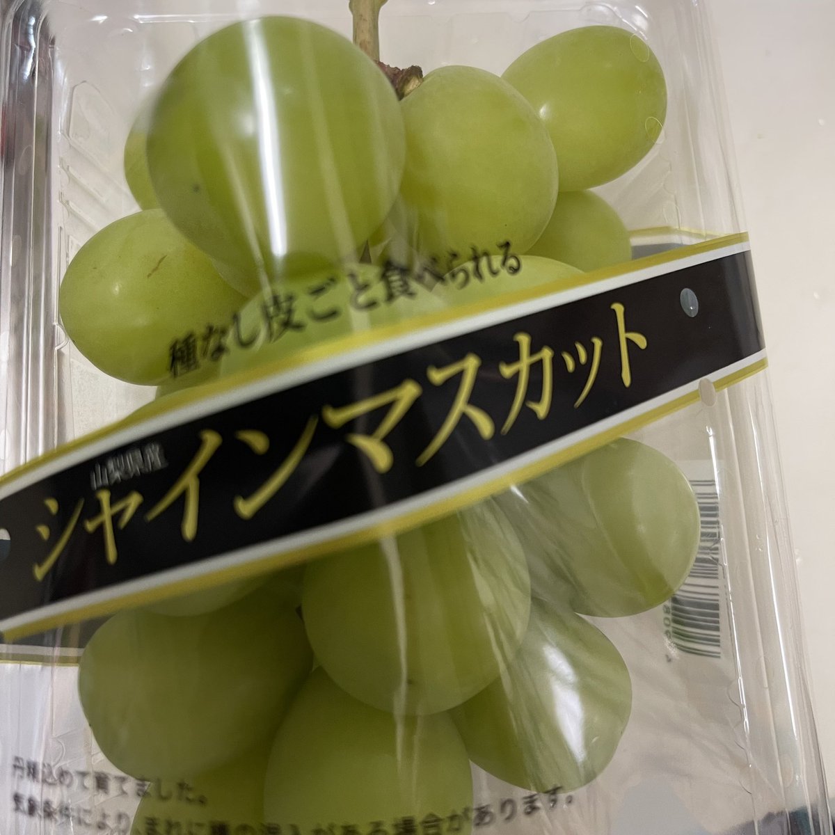 くらげ🪼🇯🇵 (@Alone_love730): 