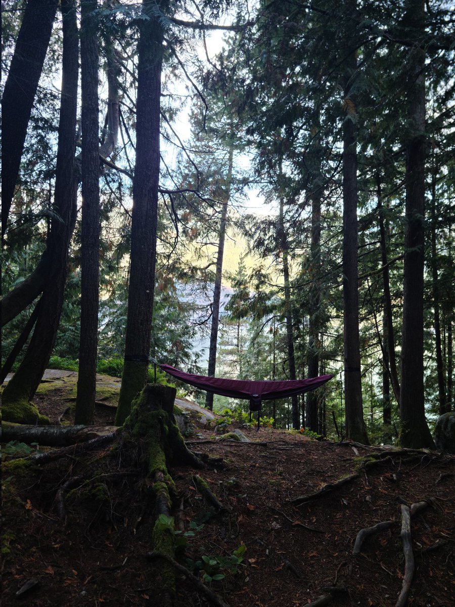 Dirty_Lil_Healer 🔜 FWA tweet media