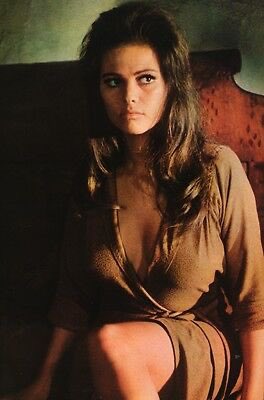 SergioRodHur's tweet photo. Quién no se hubiera  jugado la vida por reraptar a este pedazo de hembra en Los Profesionales? DEP Claudia Cardinale https://t.co/jOoPQyYpag
