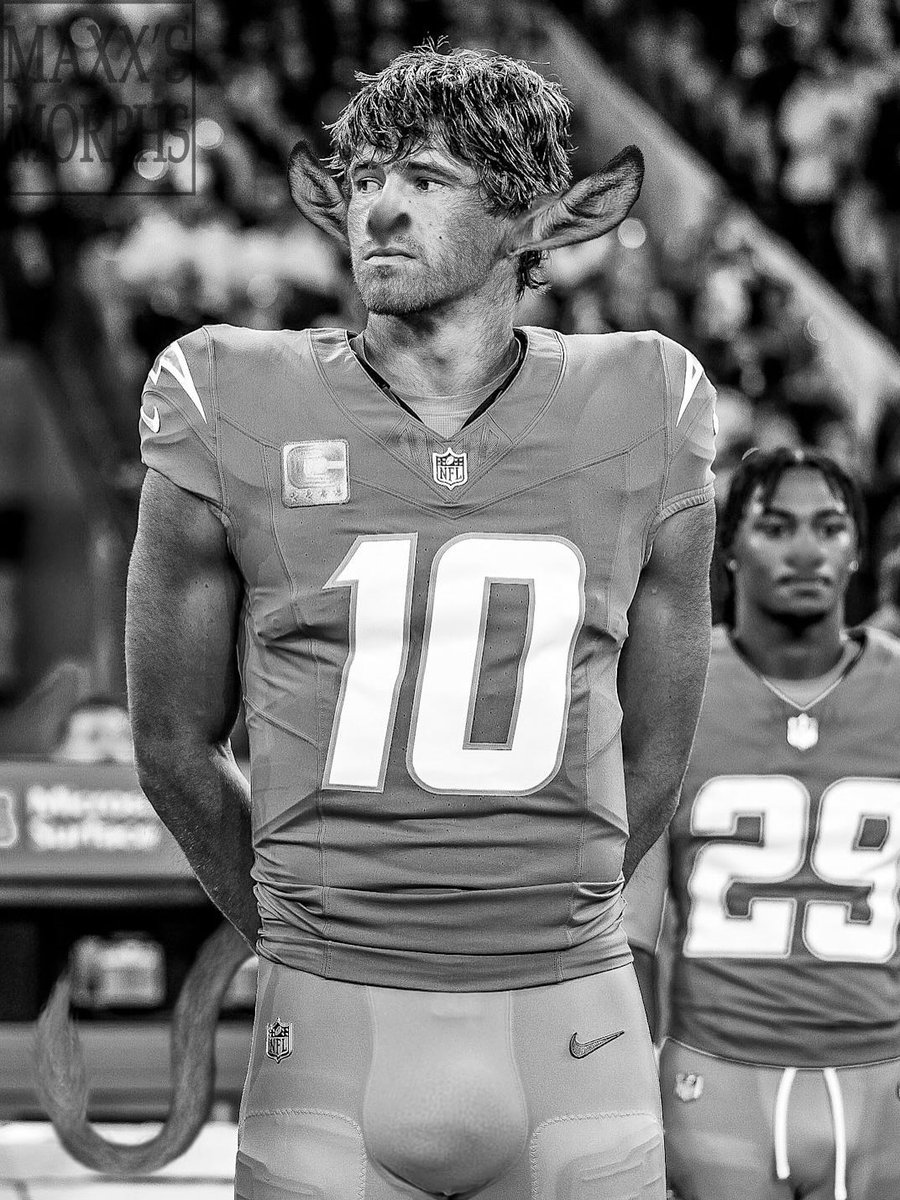 (When I tell you this man is SO FINE)

It’s easy to tell which Pleasure Island Donks players spend the most time together. After all, transformation is contagious... just watch the quarterback change his teammates…

#tf #tftuesday #donkeytf #photomanip #transfur #furryart #manip