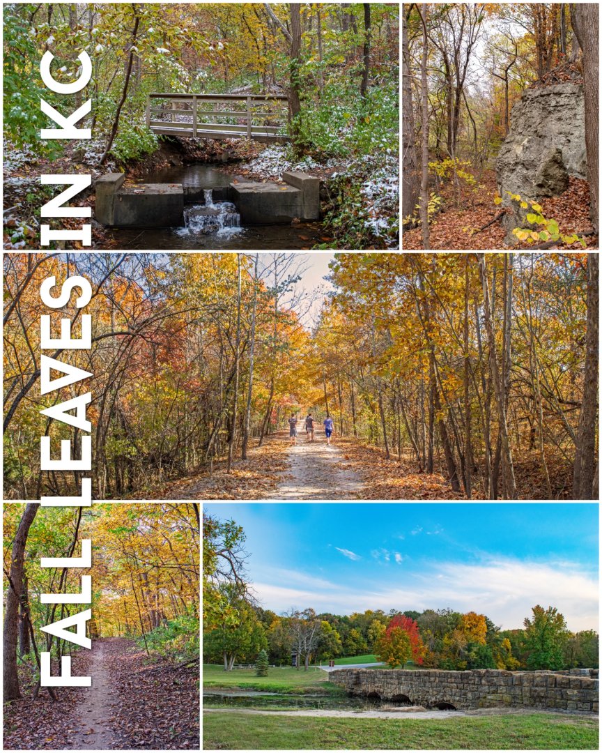 The leaves, they are a changin! Where can you view fall colors in KC? Everywhere, of course! But if you want to be absolutely immersed in autumn hues, we have a few recommendations. Here are our three top fall hikes, followed by runners up. kansascityhiker.com/hiking-kansas-…
#fall #leaves
