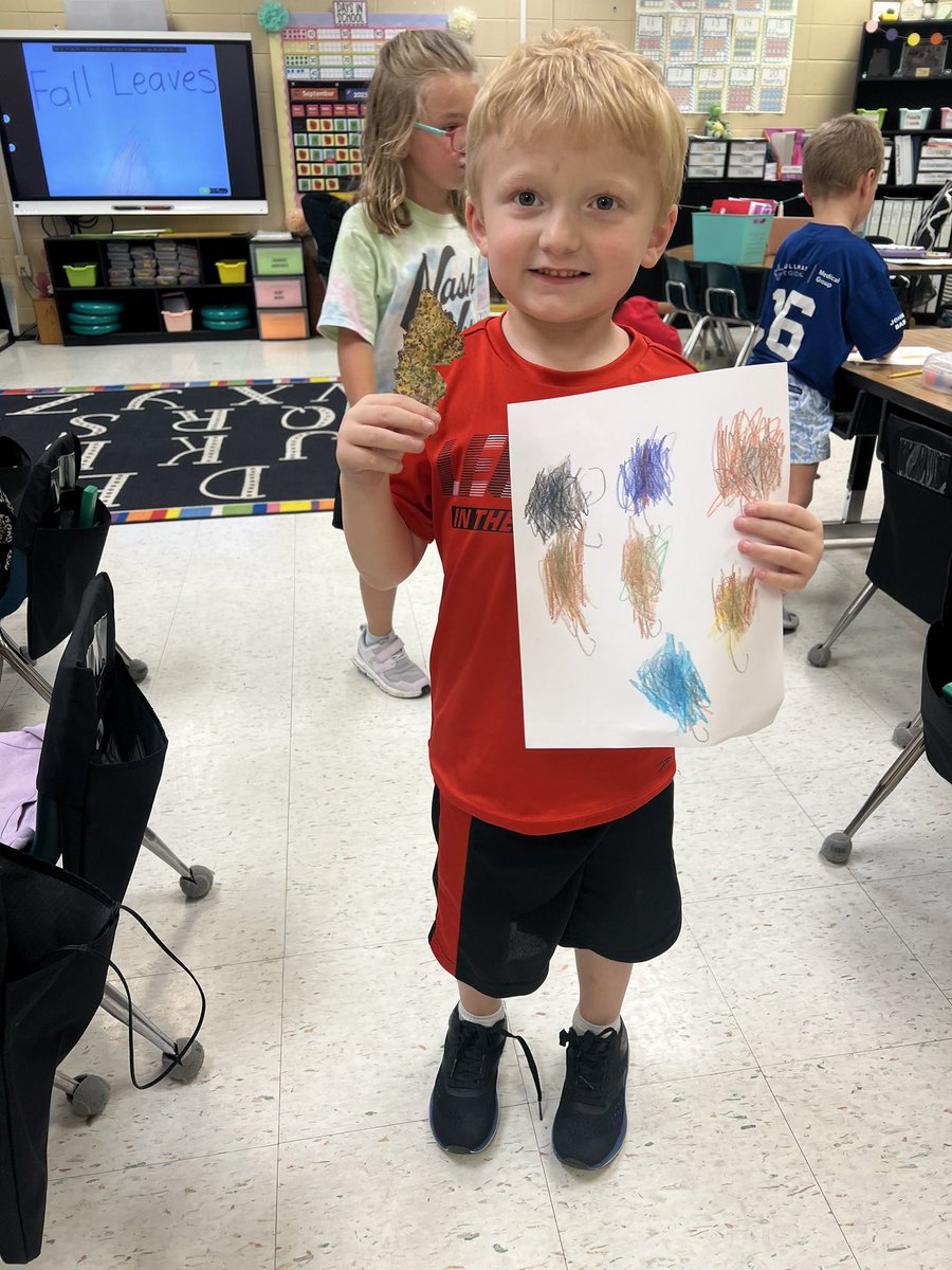 Ms. Trammell, M.Ed. tweet media