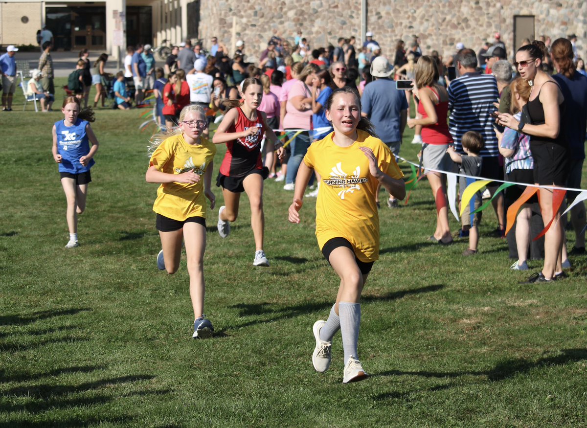 Horning Hawks CC and TF tweet media