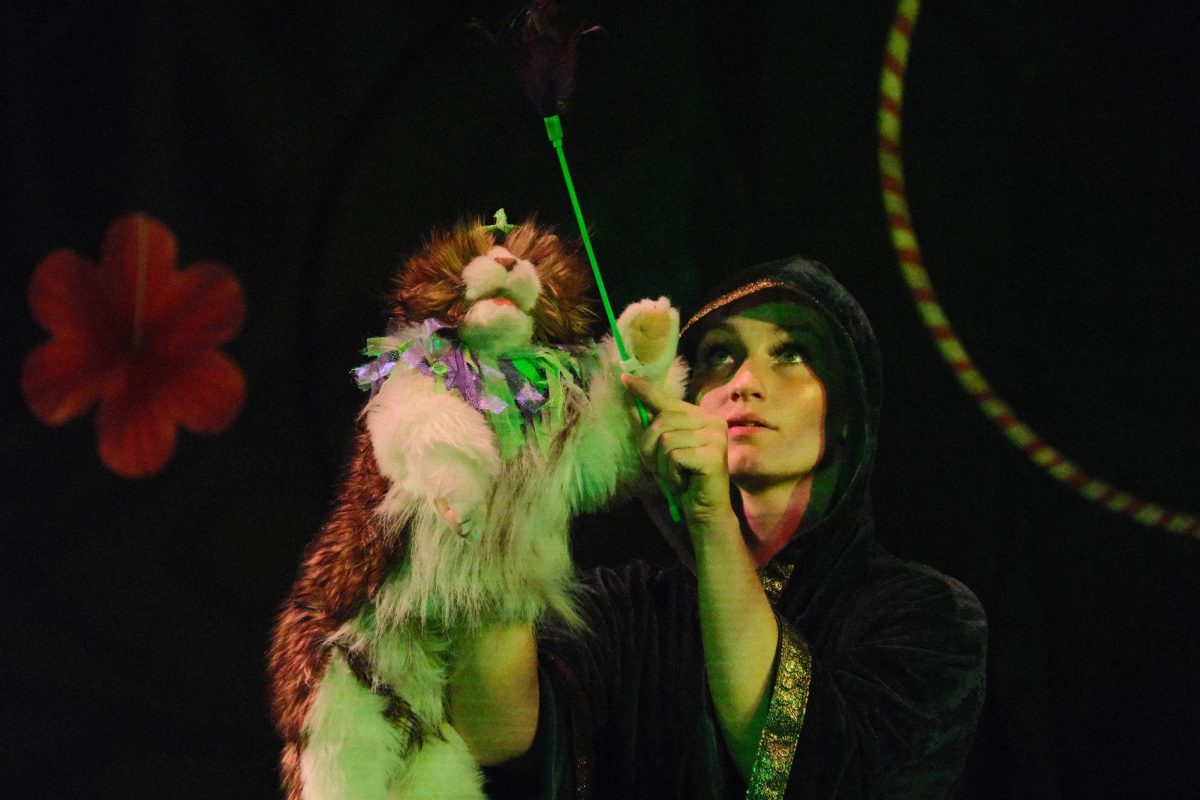 The Daily Texan tweet media