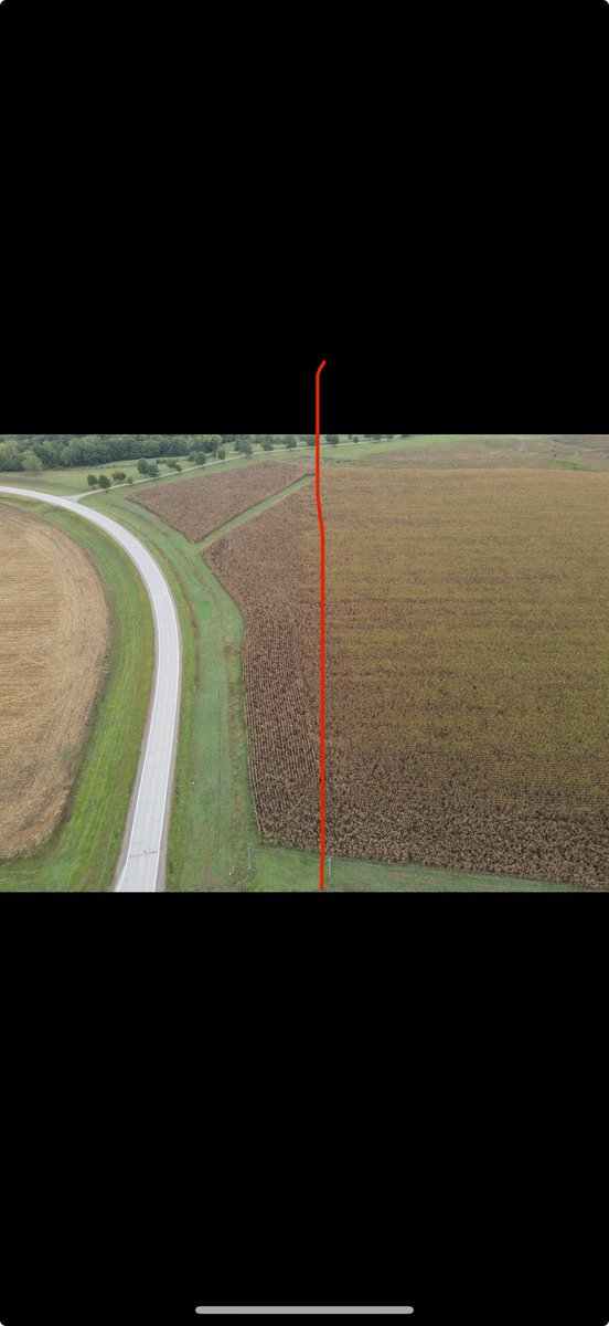 August 9 2nd Trip Fungicide update.  2nd trip acres are still greenish on Sep 23 when all other corn is brown.