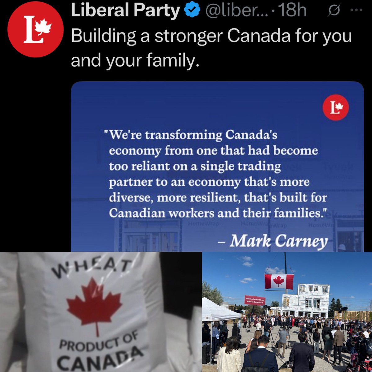 myabradshaw78's tweet image. Hey Pierre how come your silent on The Ostrich Farm?? Why are you turning your back on Canadians?? I’m Conservative but your silence is showing Canadians you care more what the liberals will say than your voters who need you.
