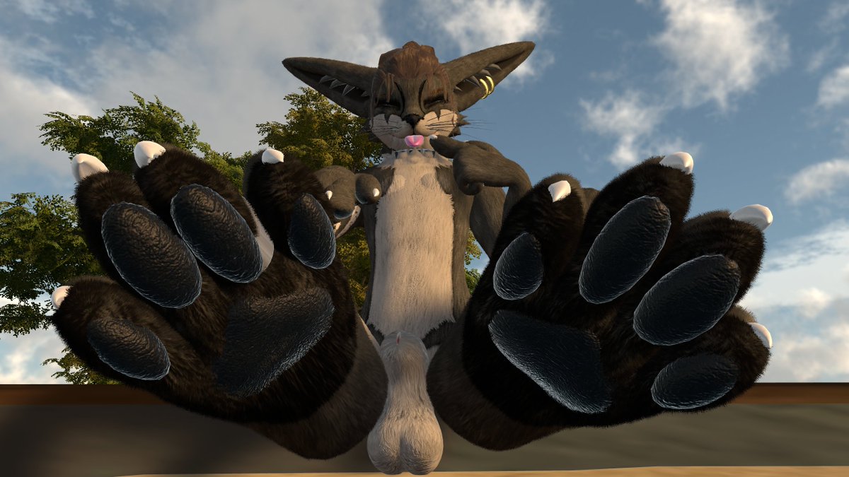 🔞🇮🇹giulio the paw giver🇮🇹🔞 tweet media