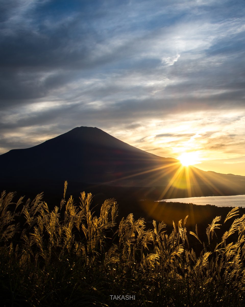 🗻
沈む夕陽に輝くススキ

Silver grass shining in the setting sun