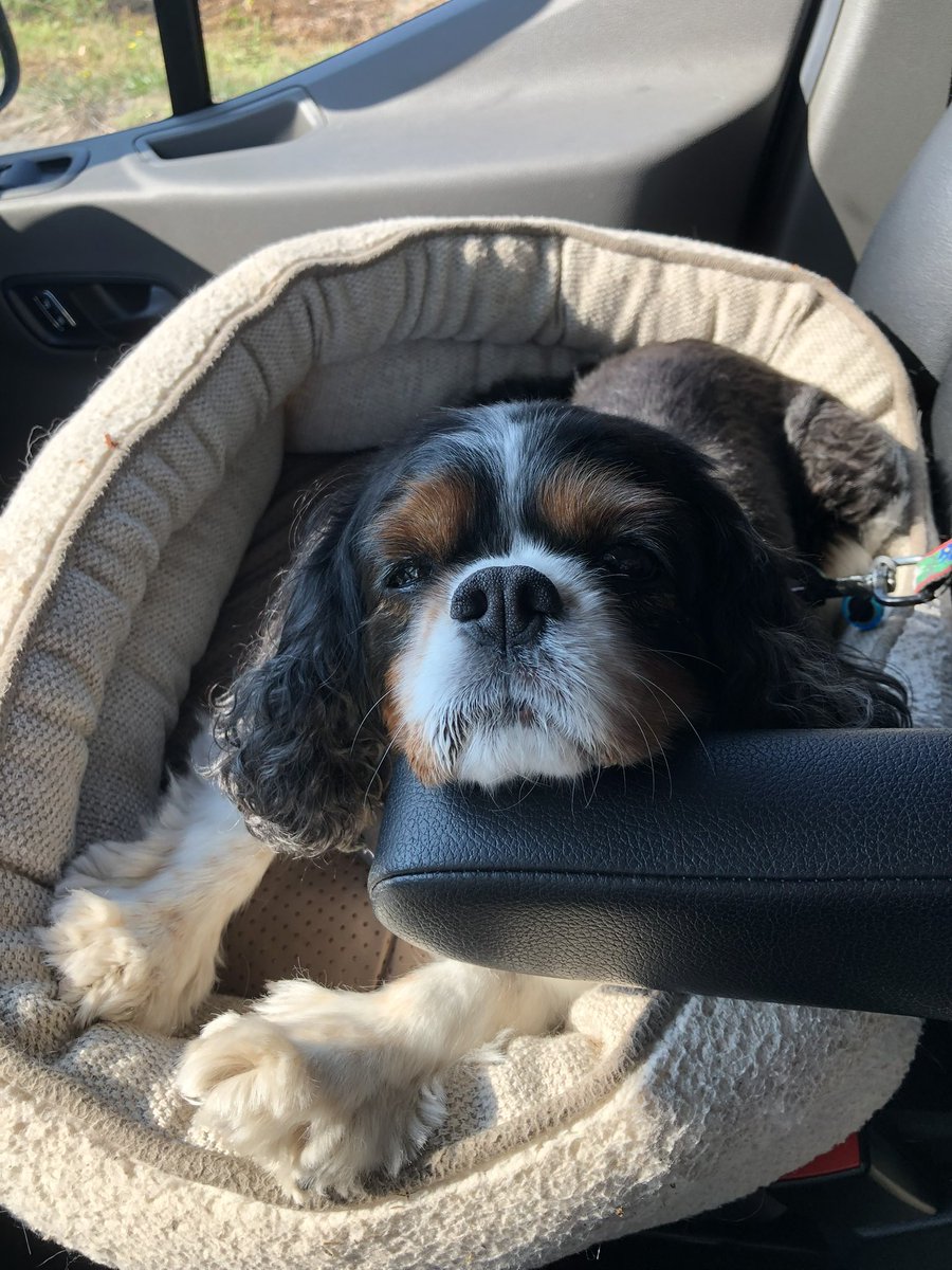 I just chilling on the drive!