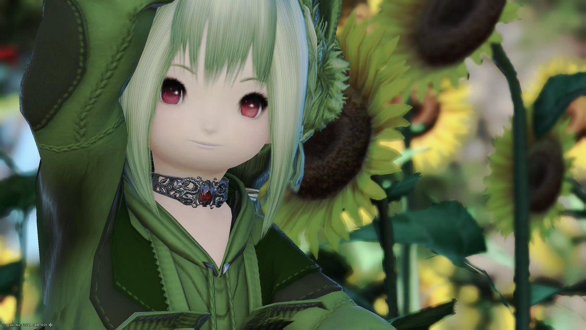 おはようございます

昨日はリセ日なので、お得意様と
町人地をやって黄金アラ1・2に
参加させてもらったんですが
できるILがタンクしかなく…
しかもどちらもBアラで……
2に至っては初回も今回もBという…ﾁｭﾗｲ
連れてってくださりありがとうございました

#おはララ