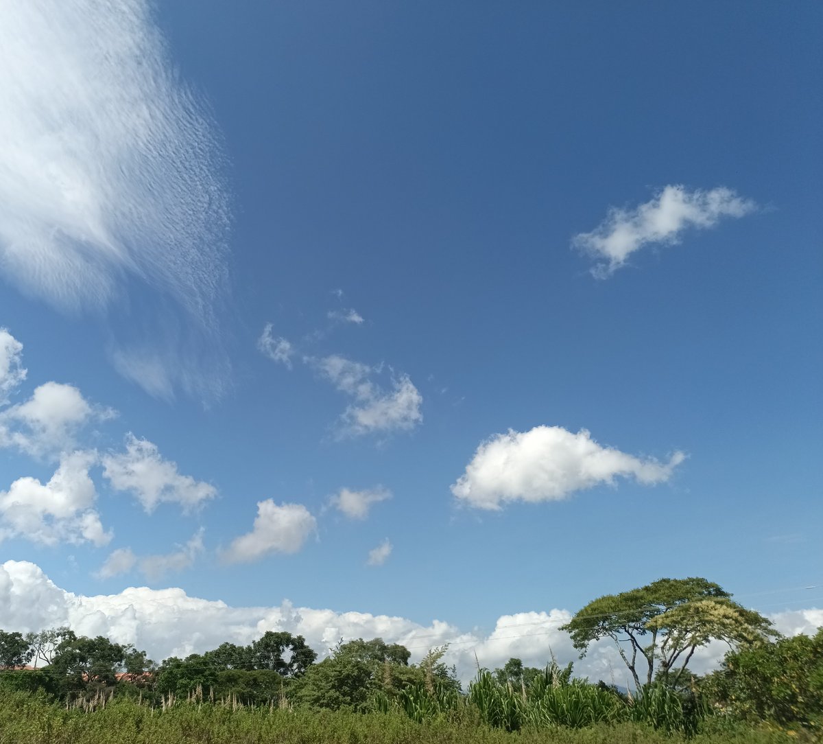 Jonhangel Sanchez Utrera ☀️ tweet media