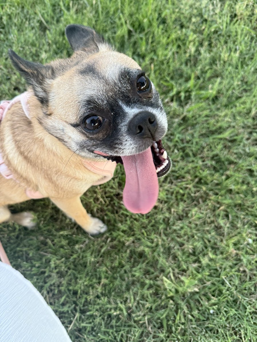 Look at this lil donkey