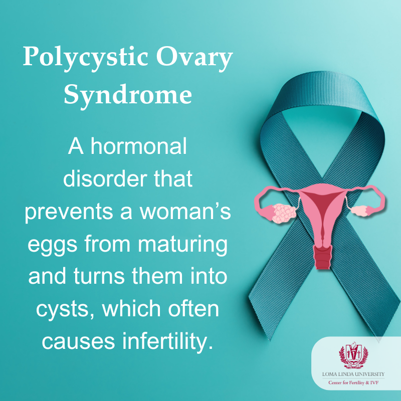 LLFertility's tweet photo. This #PolycysticOvarySyndromeMonth we want to spread #PCOS awareness and share what we can do to keep it from hindering conception. https://t.co/SOwZdlKuK6 https://t.co/jQR7MDn3bb