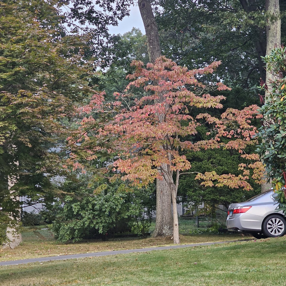 Connie Hunter tweet media