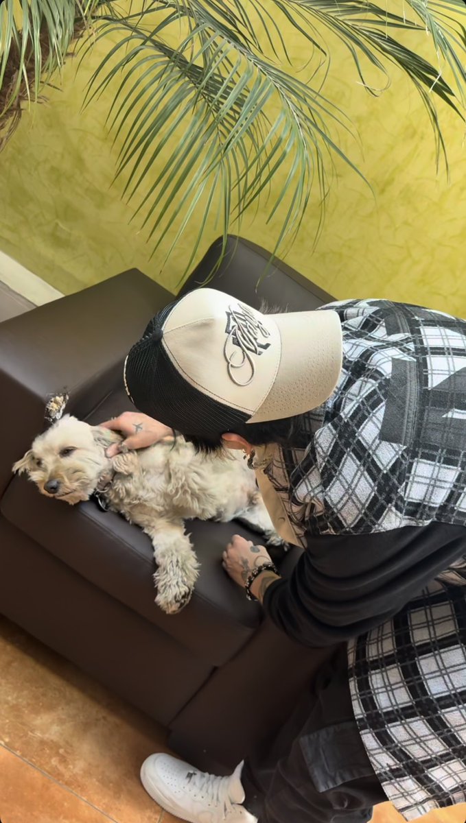 vlzgeek's tweet photo. Chris acaricia un perrito y nacen mil haditas ✨🧚🥹 https://t.co/aNcMCNdeZc