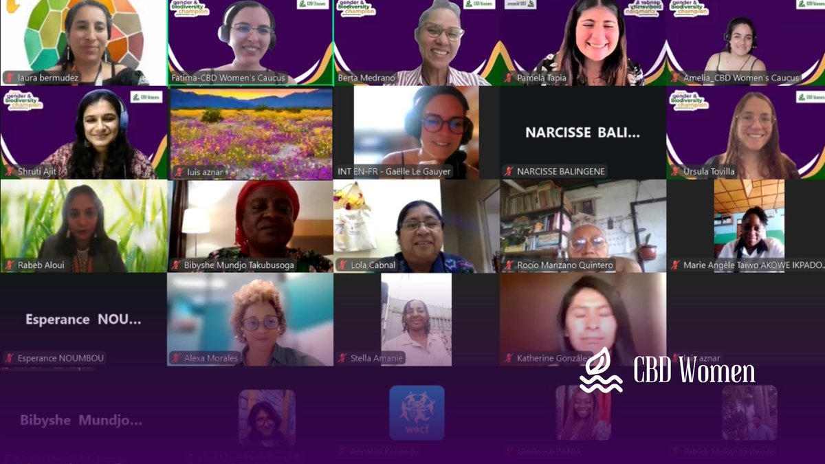 cbd_wc's tweet image. 📣 Session 4 Recap: #CBDWCTraining
We explored Article 8(j) & SB8j’s role in including Indigenous Peoples & local communities 🌍🌱
💡 Funding Journey mapping highlighted inclusive pathways for women & communities under #KMGBF