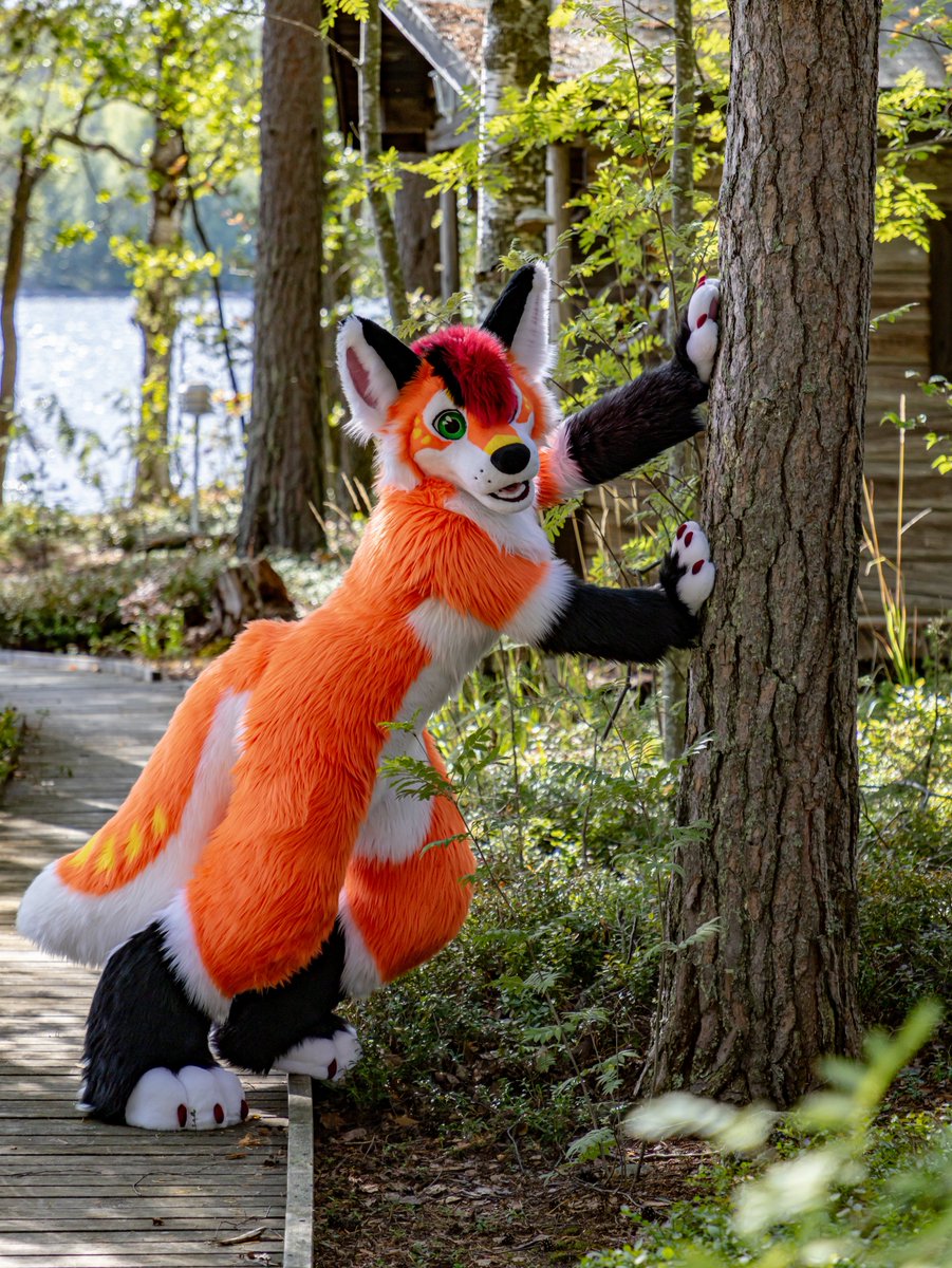 Have a nice week! 

📸: Rhaeli 

(Reposting bc x ruined the quality 😂)