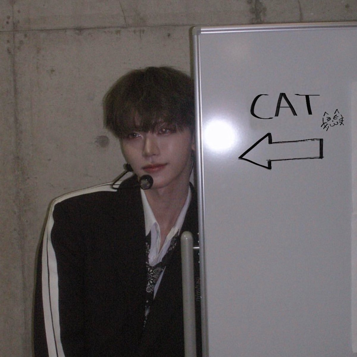 njmhae's tweet image. CAT