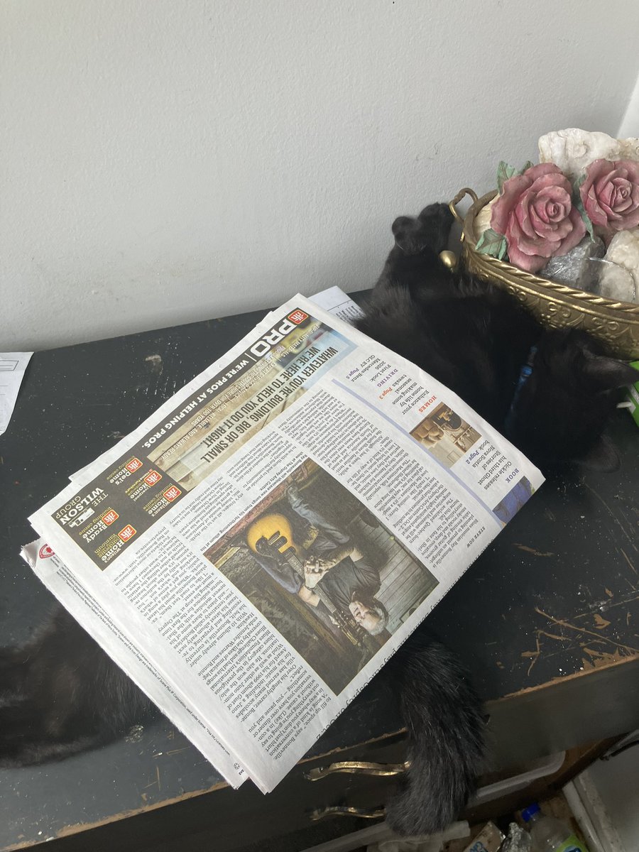 Snug as a bug in a,, the newspaper ?