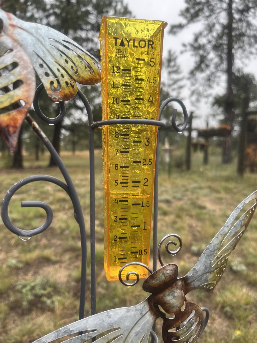 … And it’s still coming down!
42° with a cold, steady rain 🌧️ #COWX #EvergreenColorado