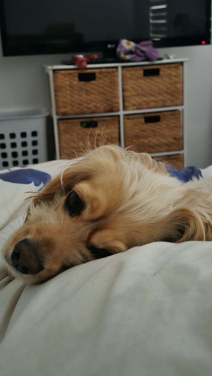 Sorry I was late... traffic was at a stand still...