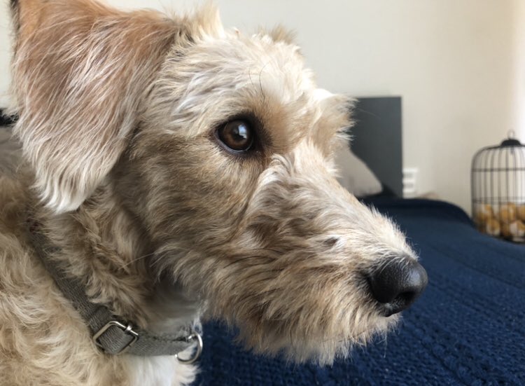 Alex7ny's tweet image. 