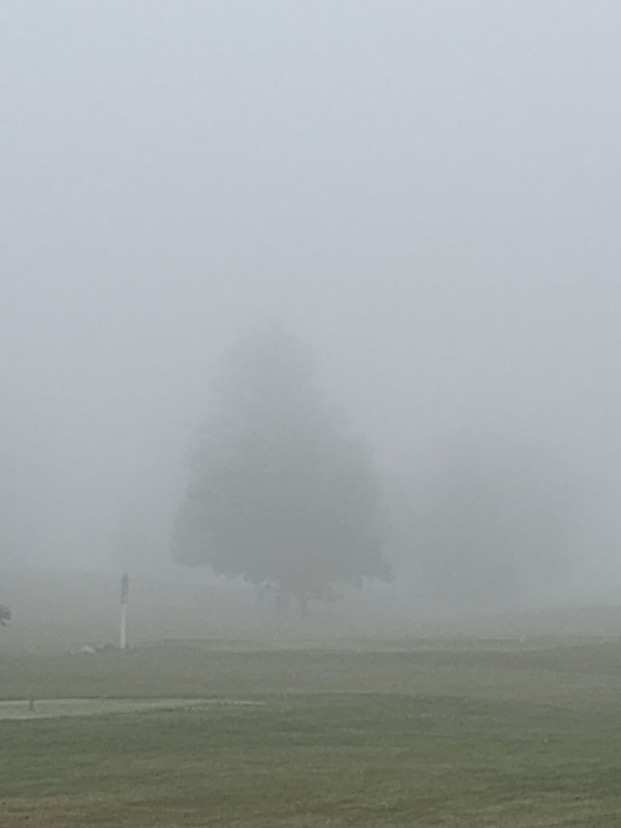 RHS Girl's Golf tweet media