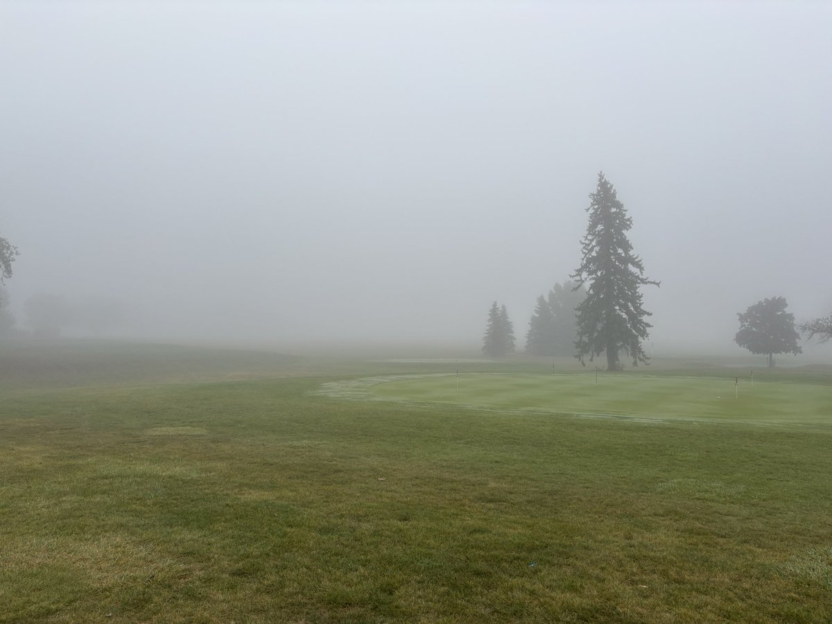 RHS Girl's Golf tweet media