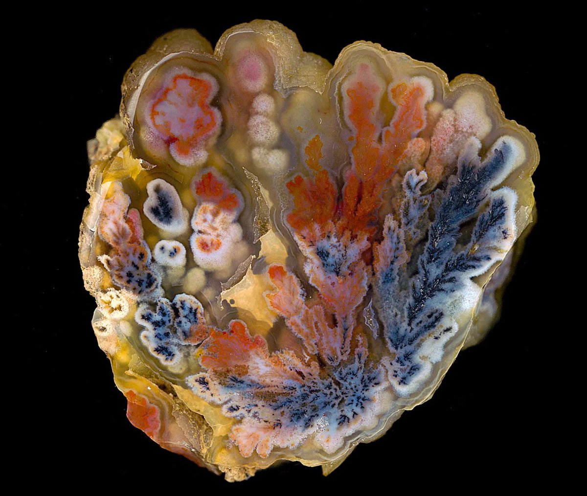 no.077 菜の花yellowとクラックメノウ 一点物 花鹿 on X